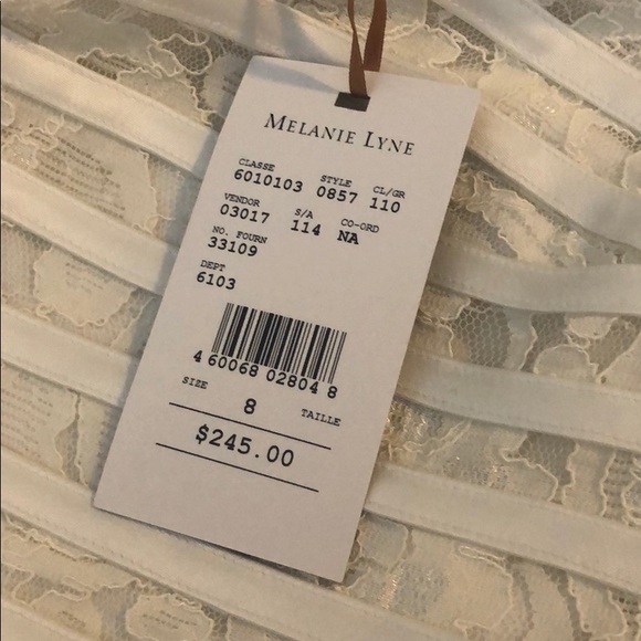 NWT Julia Jordan Striped Lace Dress - Picture 3 of 3